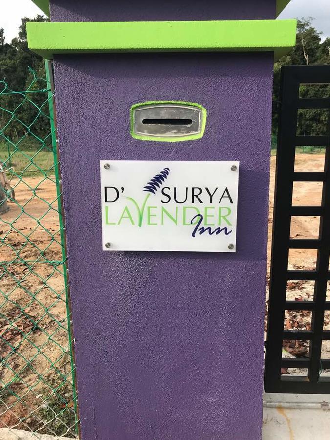 D' Surya Lavender Inn Pantai Cenang  Ngoại thất bức ảnh